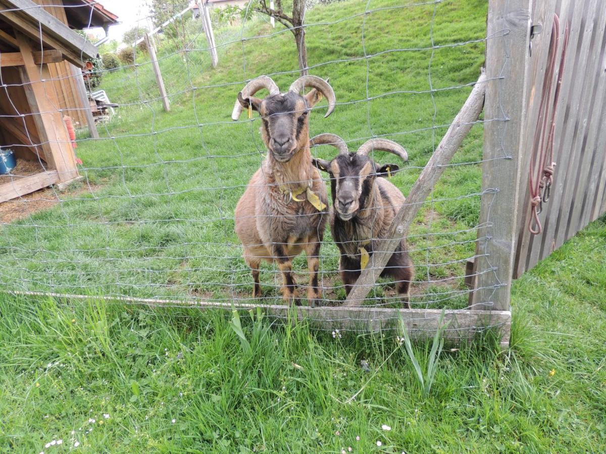 Ferienwohnung Butscher Isny im Allgau Luaran gambar