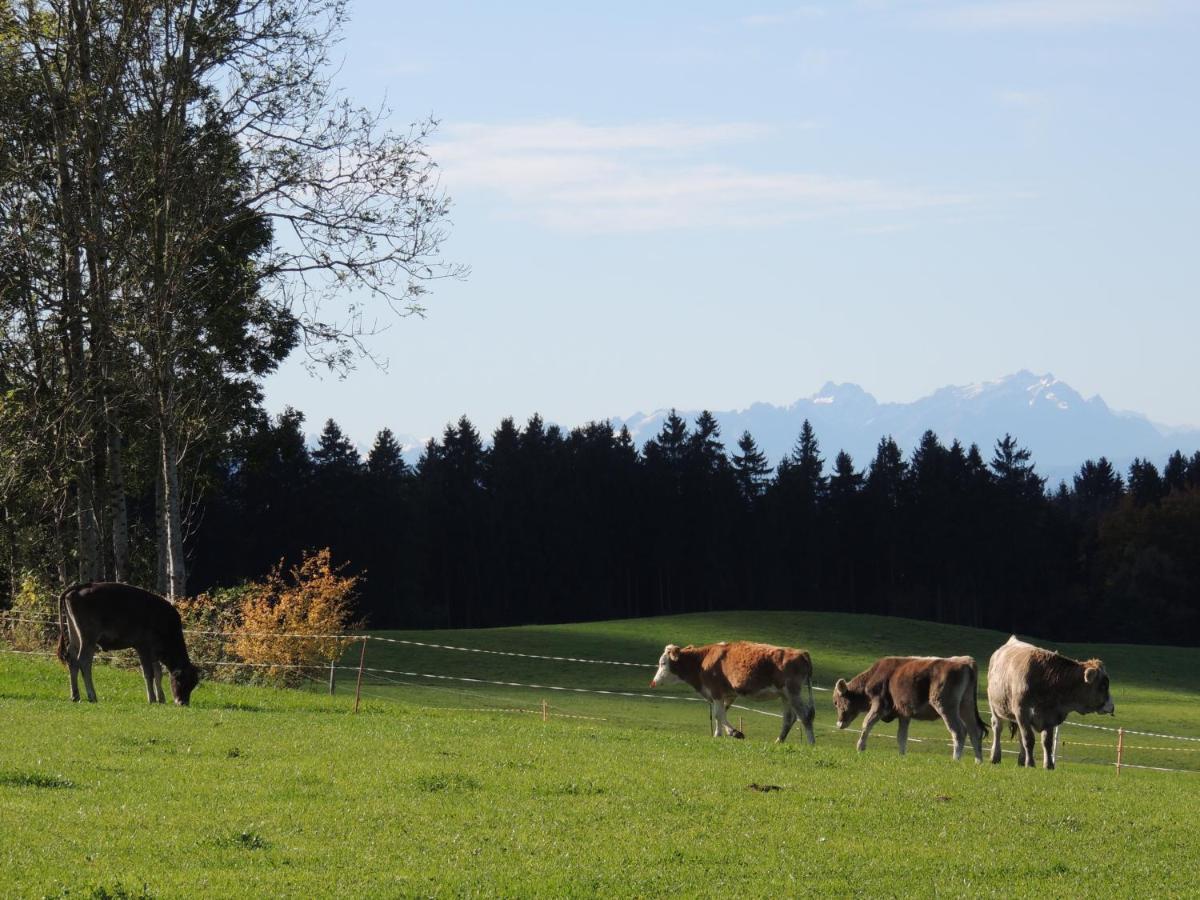 Ferienwohnung Butscher Isny im Allgau Luaran gambar